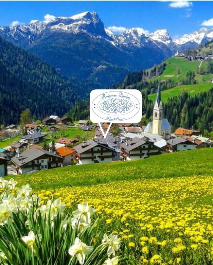 Aparthotel Residenza Domino Selva di Cadore Exteriér fotografie